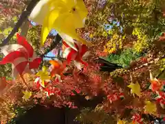 滑川神社 - 仕事と子どもの守り神(福島県)