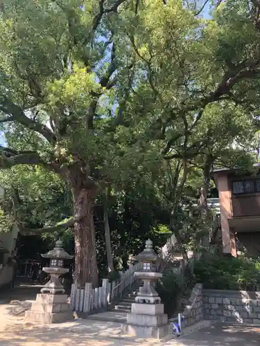 垂水神社(大阪府)