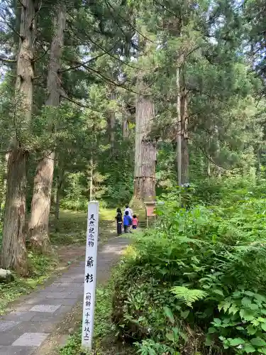 出羽神社(出羽三山神社)～三神合祭殿～の{uncategorized: "未分類", other: "その他", undefined: "問題あり", building: "その他建物", grave: "お墓", sacred_gate: "鳥居", guardian: "狛犬", statue: "像", buddha: "仏像", history: "歴史", nature: "自然", garden: "庭園", animal: "動物", pagoda: "塔", temizu: "手水舎", mountain_gate: "山門・神門", sanctuary: "本殿・本堂", subordinate: "末社・摂社", art: "芸術", scenery: "景色", jizo: "地蔵", ema: "絵馬", goshuin: "御朱印", omikuji: "おみくじ", items: "授与品その他", amulet: "お守り", goshuincho: "御朱印帳", eats: "食事", festival: "お祭り", votive_dance: "神楽", shichigosan: "七五三参", wedding: "結婚式", experience: "体験その他", initially: "初詣", around: "周辺", anti_infection: "感染症対策"}