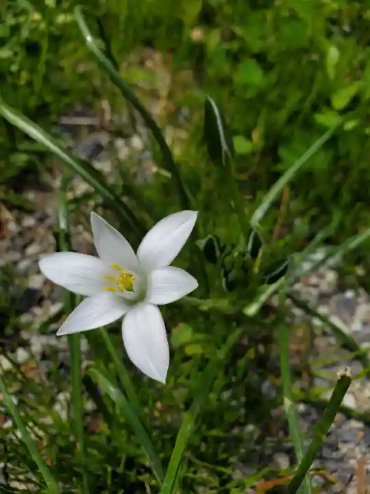 磐椅神社(福島県)