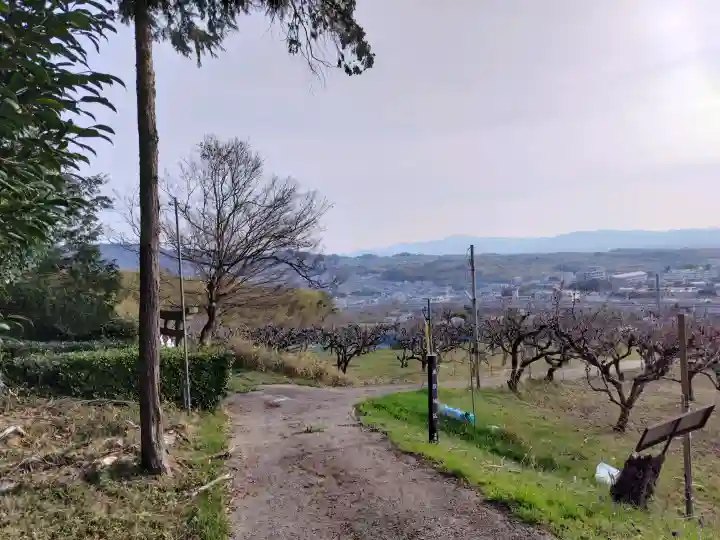 九社神社の{uncategorized: "未分類", other: "その他", undefined: "問題あり", building: "その他建物", grave: "お墓", sacred_gate: "鳥居", guardian: "狛犬", statue: "像", buddha: "仏像", history: "歴史", nature: "自然", garden: "庭園", animal: "動物", pagoda: "塔", temizu: "手水舎", mountain_gate: "山門・神門", sanctuary: "本殿・本堂", subordinate: "末社・摂社", art: "芸術", scenery: "景色", jizo: "地蔵", ema: "絵馬", goshuin: "御朱印", omikuji: "おみくじ", items: "授与品その他", amulet: "お守り", goshuincho: "御朱印帳", eats: "食事", festival: "お祭り", votive_dance: "神楽", shichigosan: "七五三参", wedding: "結婚式", experience: "体験その他", initially: "初詣", around: "周辺", anti_infection: "感染症対策"}
