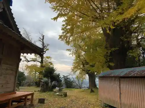 八雲神社の景色