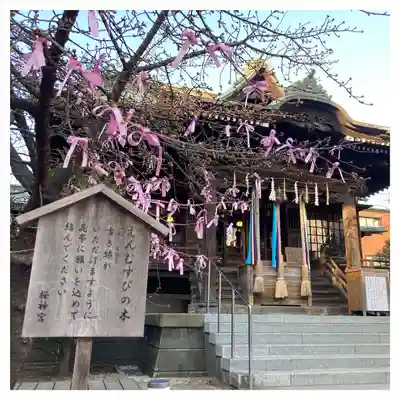 桜神宮の本殿・本堂