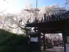 源空院（浅井寺）の山門