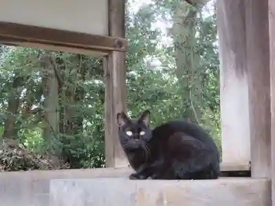 長岳寺(奈良県)