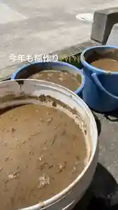 大鏑神社(福島県)(2022年05月06日(金) 11時21分04秒投稿)