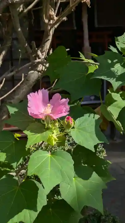 後白河院御聖蹟 法住寺(京都府)