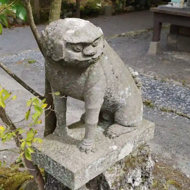 雲仙温泉神社の狛犬
