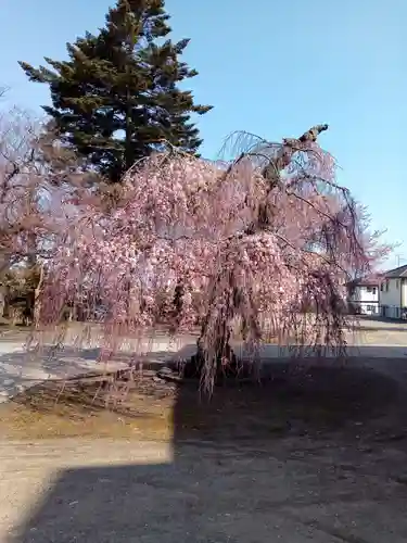 法運寺(宮城県)