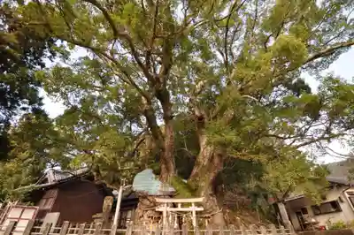 須賀神社(高知県)