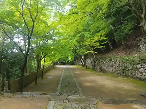 永源寺の建物その他