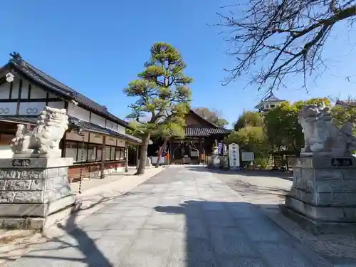 中津大神宮(大分県)