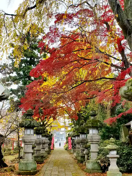 神炊館神社 ⁂奥州須賀川総鎮守⁂の自然
