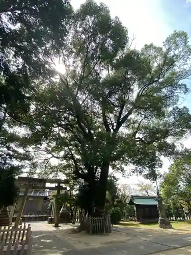 大神神社（花池）の自然