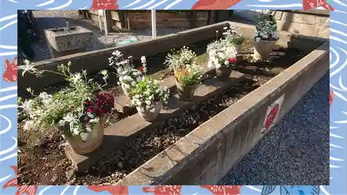 鎮守氷川神社(埼玉県)