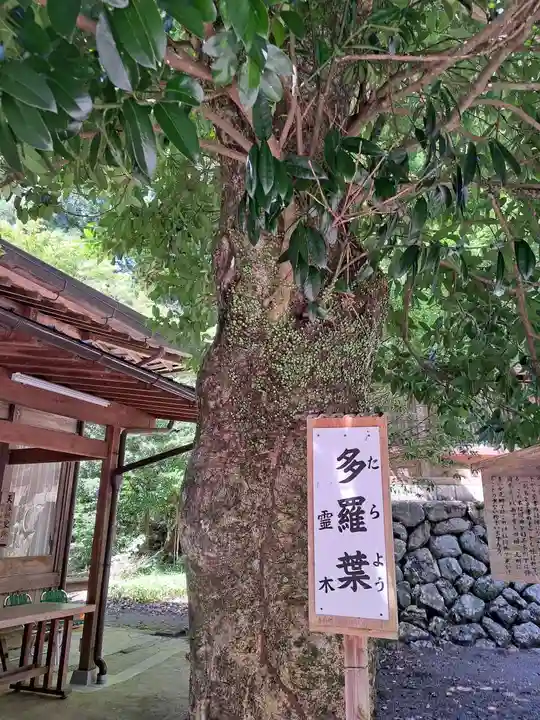 丹生川上神社(下社)(奈良県)