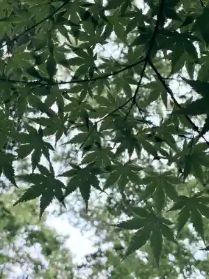 賀茂御祖神社（下鴨神社）(京都府)