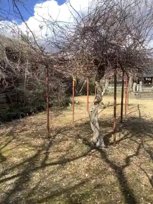 纐纈神社の自然