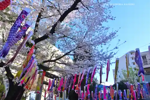 くまくま神社(導きの社 熊野町熊野神社)(東京都)