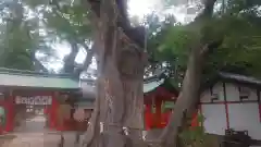 生島足島神社(長野県)