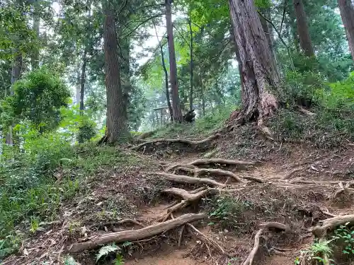 羽黒三田神社の周辺