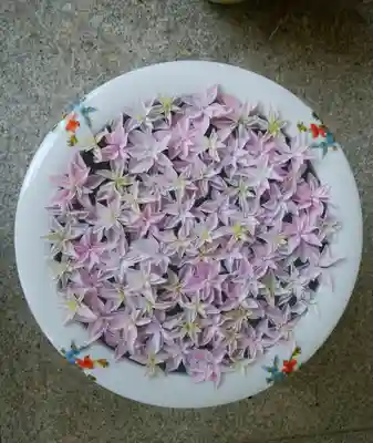 帯廣神社の手水舎