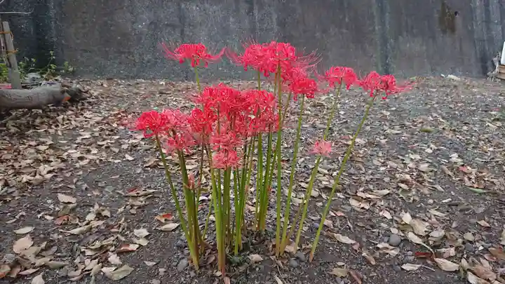 和物所稲荷神社の自然