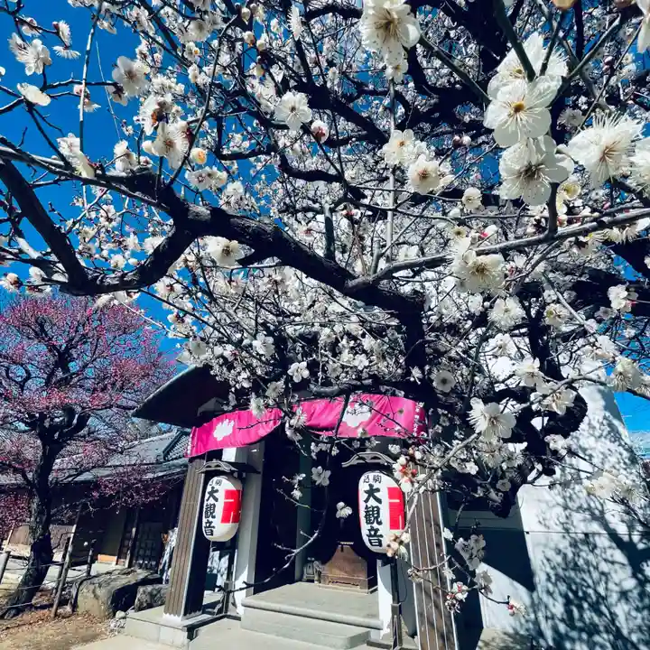 光源寺(東京都)