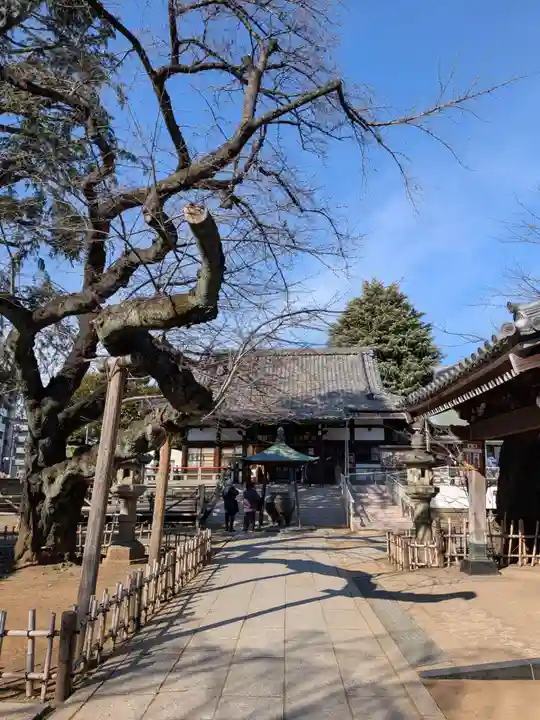 新井薬師(梅照院)(東京都)