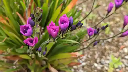 来迎寺(三重県)