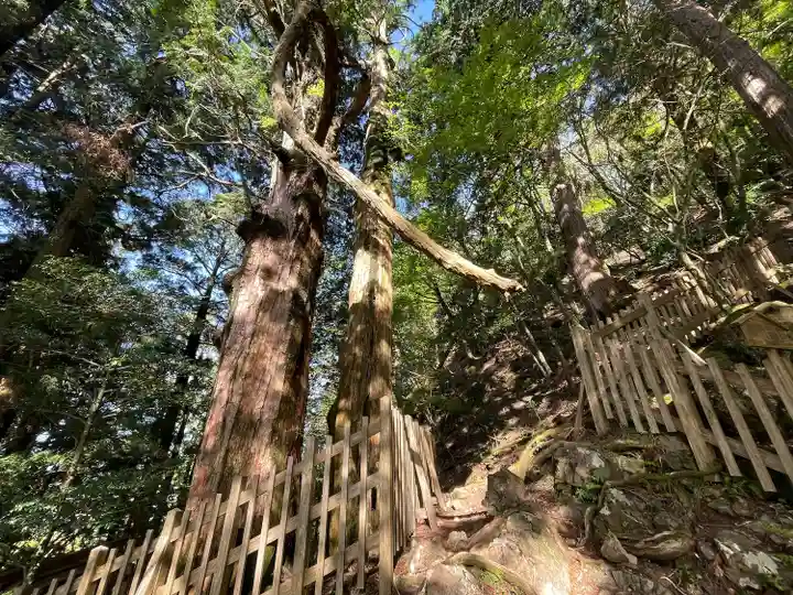 玉置神社(奈良県)