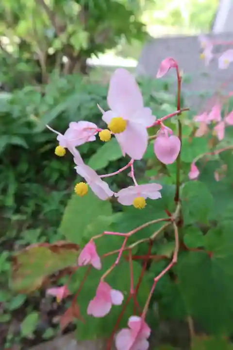多禰寺(京都府)