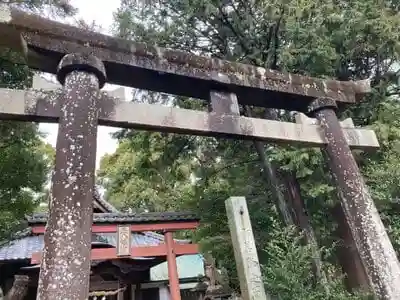 正八幡神社の鳥居