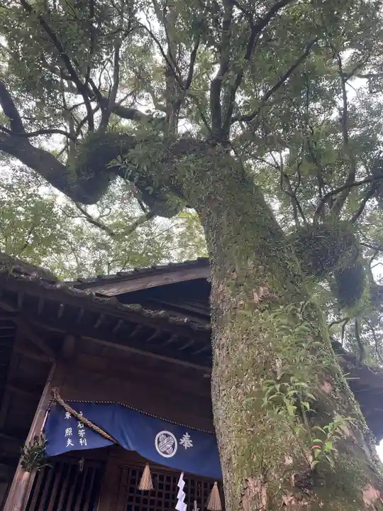 青井阿蘇神社(熊本県)