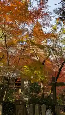 長岡天満宮(京都府)