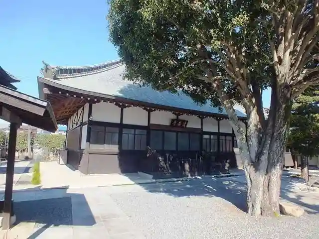 清泰寺の本殿・本堂