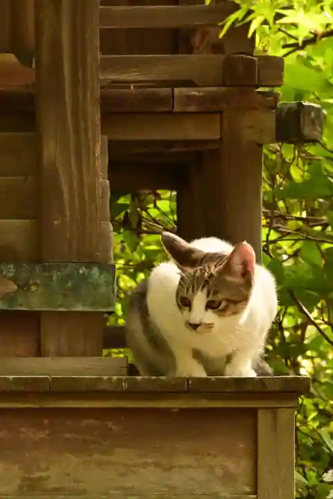 城上神社(島根県)