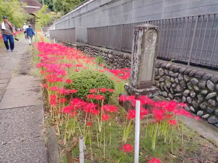 横浜 西方寺の自然