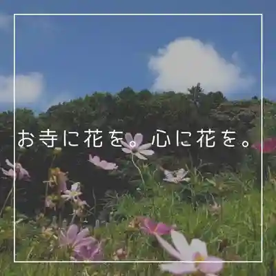 天王山 安楽寺(福井県)