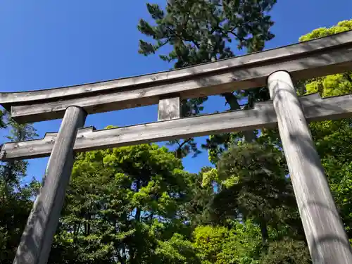 寒川神社の鳥居