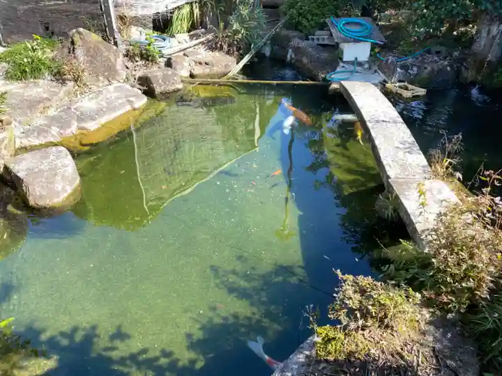 龍馬神社の庭園