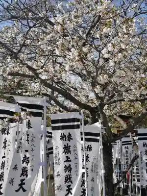 旗上弁財天社の{uncategorized: "未分類", other: "その他", undefined: "問題あり", building: "その他建物", grave: "お墓", sacred_gate: "鳥居", guardian: "狛犬", statue: "像", buddha: "仏像", history: "歴史", nature: "自然", garden: "庭園", animal: "動物", pagoda: "塔", temizu: "手水舎", mountain_gate: "山門・神門", sanctuary: "本殿・本堂", subordinate: "末社・摂社", art: "芸術", scenery: "景色", jizo: "地蔵", ema: "絵馬", goshuin: "御朱印", omikuji: "おみくじ", items: "授与品その他", amulet: "お守り", goshuincho: "御朱印帳", eats: "食事", festival: "お祭り", votive_dance: "神楽", shichigosan: "七五三参", wedding: "結婚式", experience: "体験その他", initially: "初詣", around: "周辺", anti_infection: "感染症対策"}