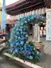 白山神社(新潟県)
