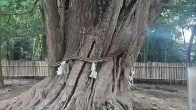 峯ヶ岡八幡神社(埼玉県)
