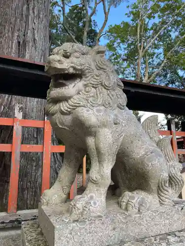 佐々尾神社(京都府)