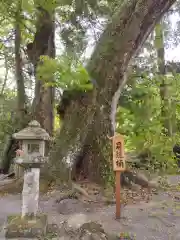 水屋神社(三重県)