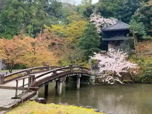 知恩院の庭園