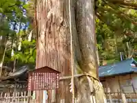 戸隠神社中社(長野県)