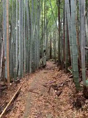 借宿山蔵王大神(千葉県)