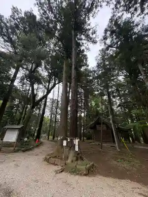 間々田八幡宮の{uncategorized: "未分類", other: "その他", undefined: "問題あり", building: "その他建物", grave: "お墓", sacred_gate: "鳥居", guardian: "狛犬", statue: "像", buddha: "仏像", history: "歴史", nature: "自然", garden: "庭園", animal: "動物", pagoda: "塔", temizu: "手水舎", mountain_gate: "山門・神門", sanctuary: "本殿・本堂", subordinate: "末社・摂社", art: "芸術", scenery: "景色", jizo: "地蔵", ema: "絵馬", goshuin: "御朱印", omikuji: "おみくじ", items: "授与品その他", amulet: "お守り", goshuincho: "御朱印帳", eats: "食事", festival: "お祭り", votive_dance: "神楽", shichigosan: "七五三参", wedding: "結婚式", experience: "体験その他", initially: "初詣", around: "周辺", anti_infection: "感染症対策"}